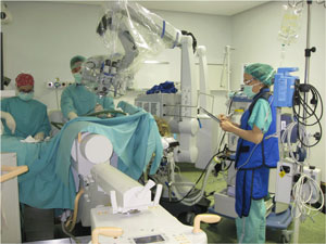 Mr. Vanaclocha, in a surgical procedure of the spinal column 